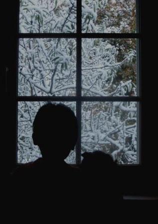 snow window